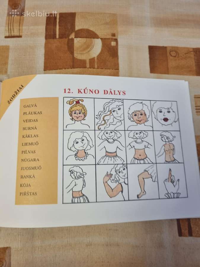 Grupuoti, žiūrėti, paaiškinti, klausti, pavadinti - nuotraukos Nr. 4