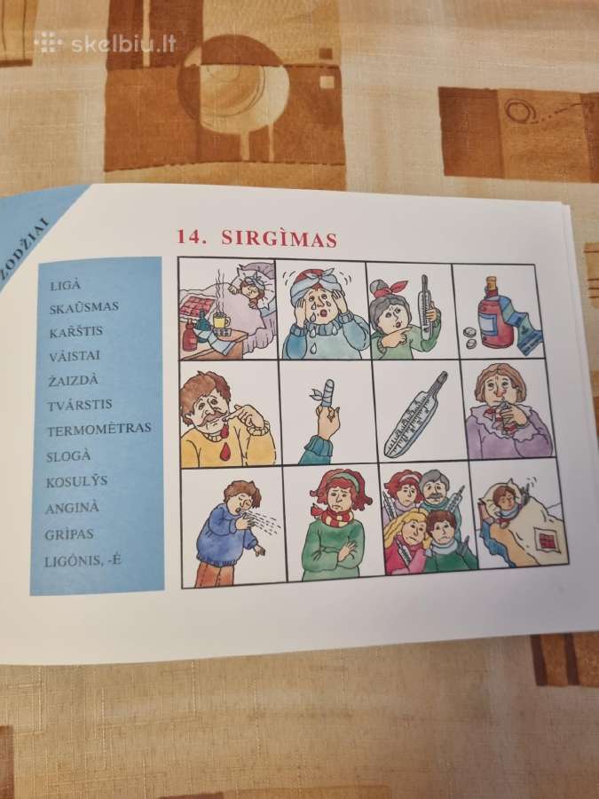 Grupuoti, žiūrėti, paaiškinti, klausti, pavadinti - nuotraukos Nr. 5