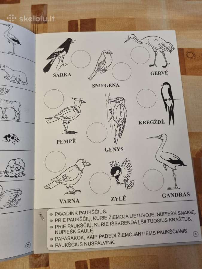 Man mieli gyvūnai - nuotraukos Nr. 3