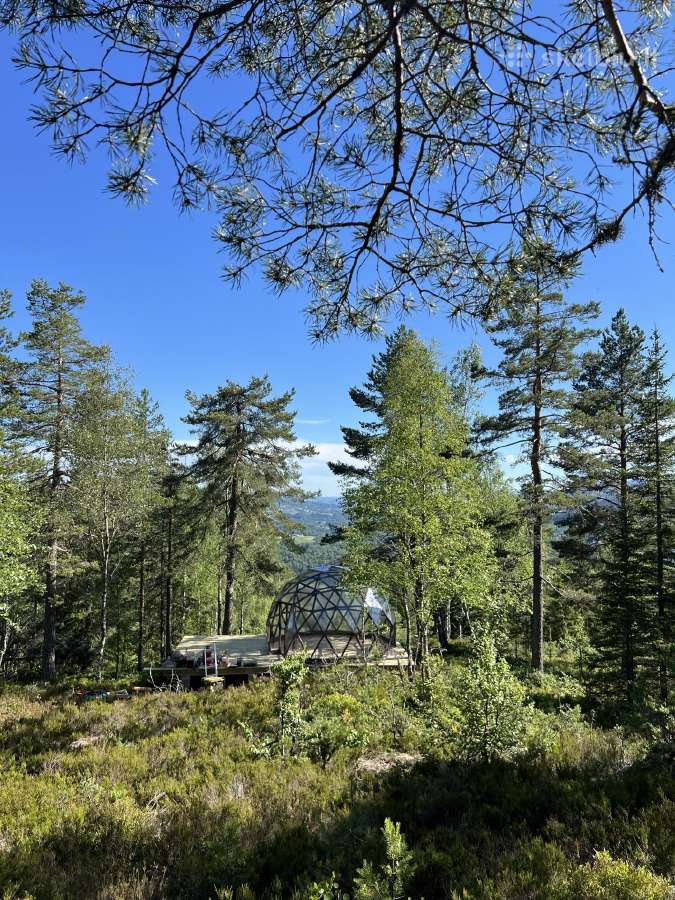 7m 40kv. glamping Gk kupolas, pavėsinė, vasarnamis - nuotraukos Nr. 29