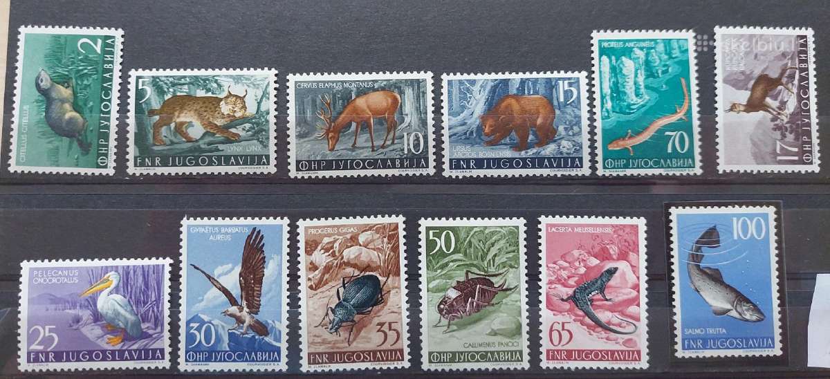 Jugoslavija 1954 fauna ,švarus, Michel 738-749