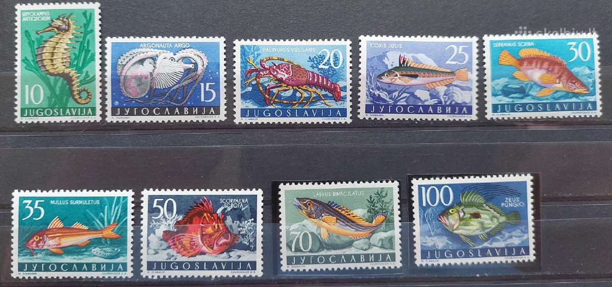 Jugoslavija 1956 jūros fauna fauna ,švarus, Michel
