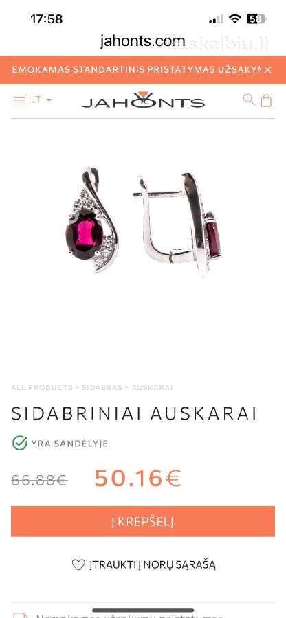 Sidabriniai auskarai ir pakabukas - nuotraukos Nr. 4