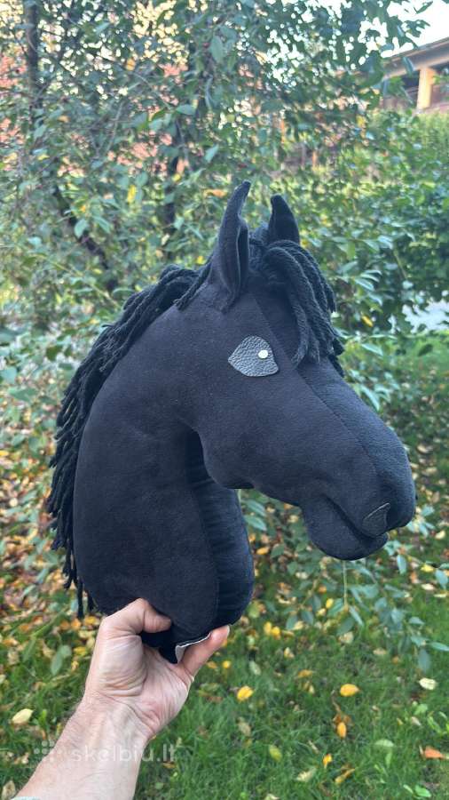 Hobby Horsing Arkliukai - nuotraukos Nr. 4