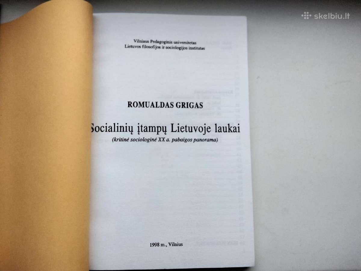 R. Grigas. Socialinių įtampų Lietuvoje laukai - nuotraukos Nr. 2
