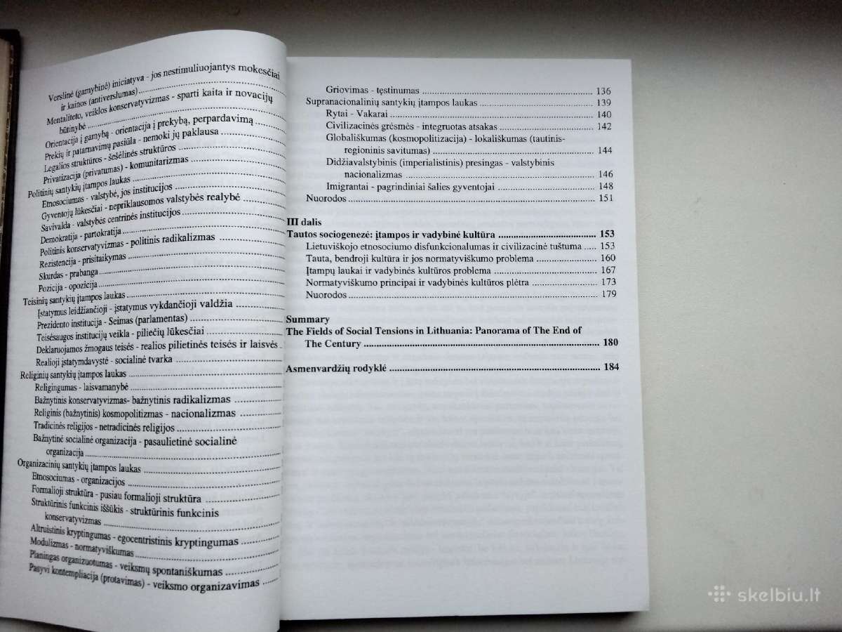 R. Grigas. Socialinių įtampų Lietuvoje laukai - nuotraukos Nr. 4