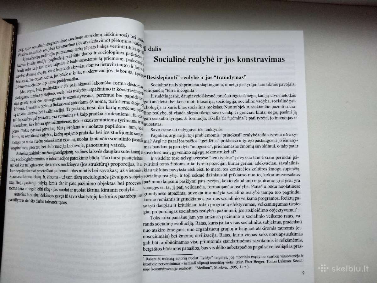 R. Grigas. Socialinių įtampų Lietuvoje laukai - nuotraukos Nr. 5