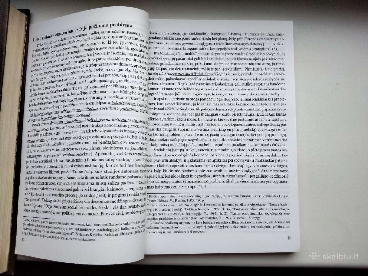 R. Grigas. Socialinių įtampų Lietuvoje laukai - nuotraukos Nr. 6