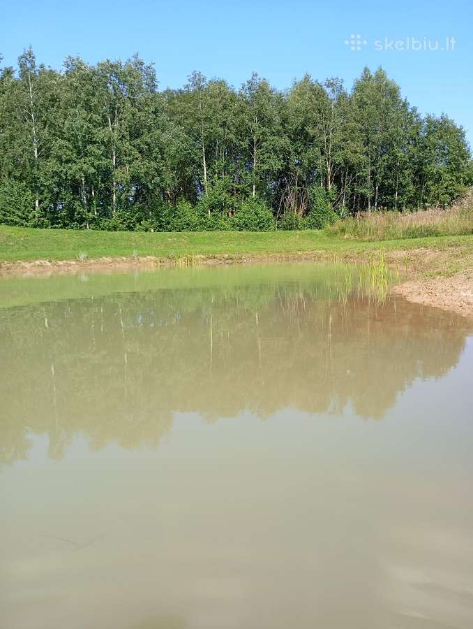 1,33ha sklypas prie Šiaulių jūros - nuotraukos Nr. 23