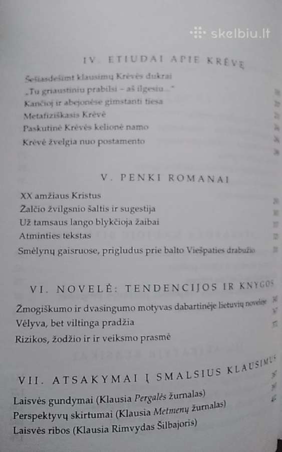Literatūra ir laisvė - nuotraukos Nr. 4