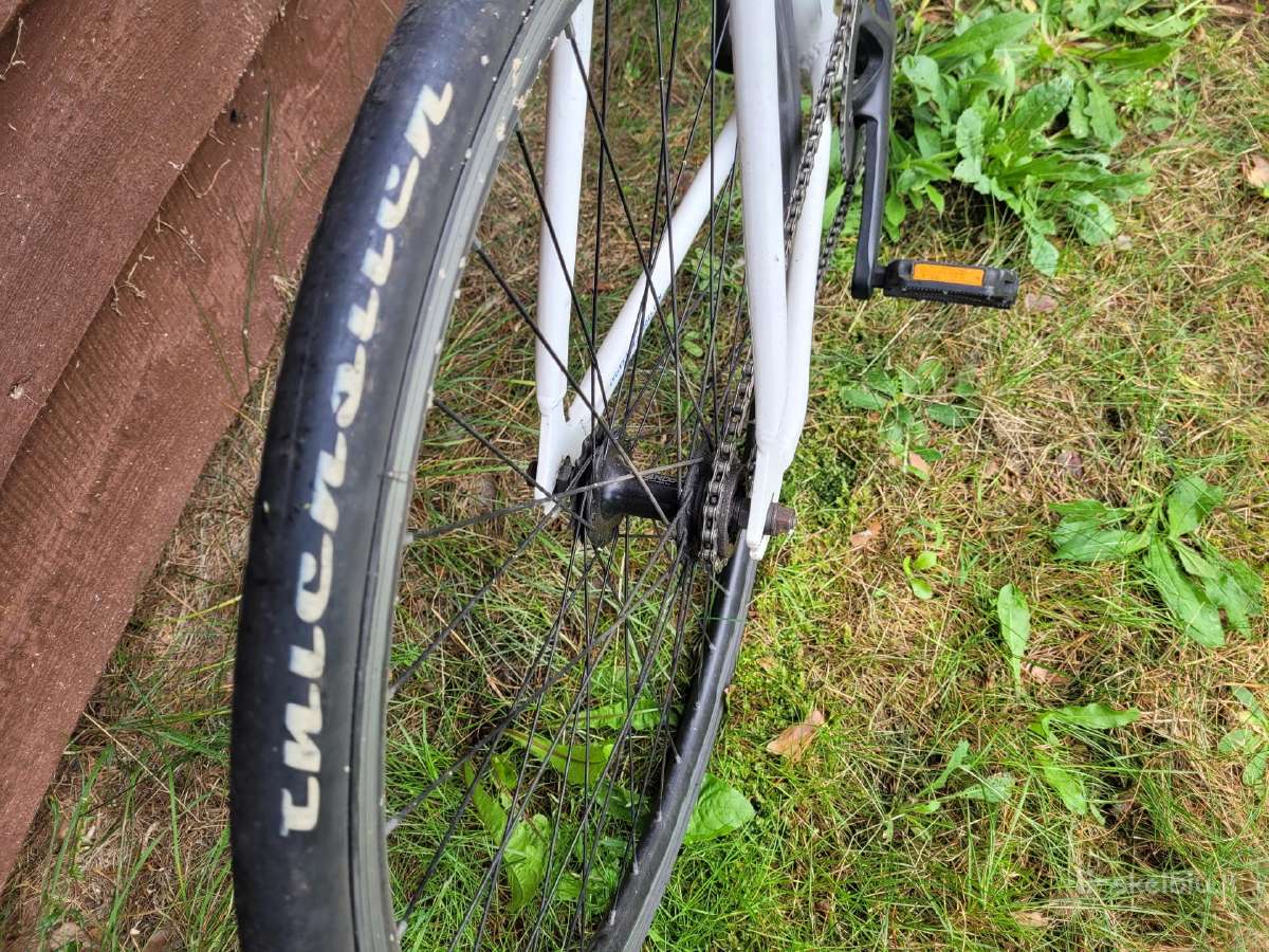 Dviratis Singlespeed - nuotraukos Nr. 4