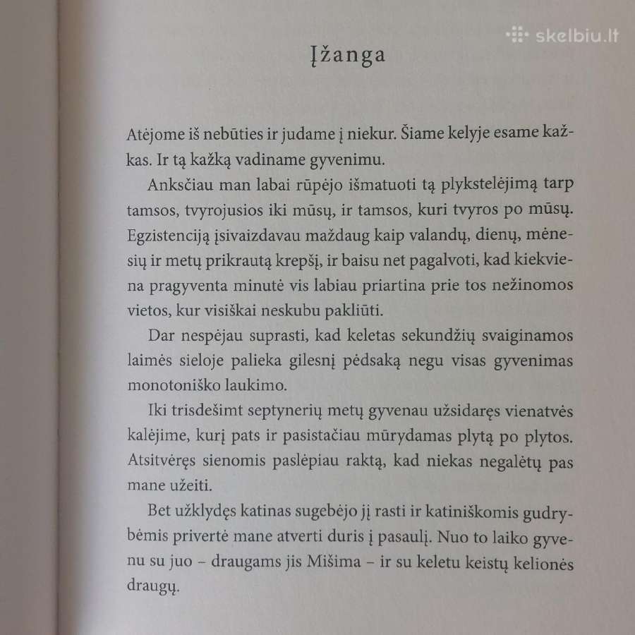 Francesc Miralles - knyga " Vabi Sabi ". - nuotraukos Nr. 10