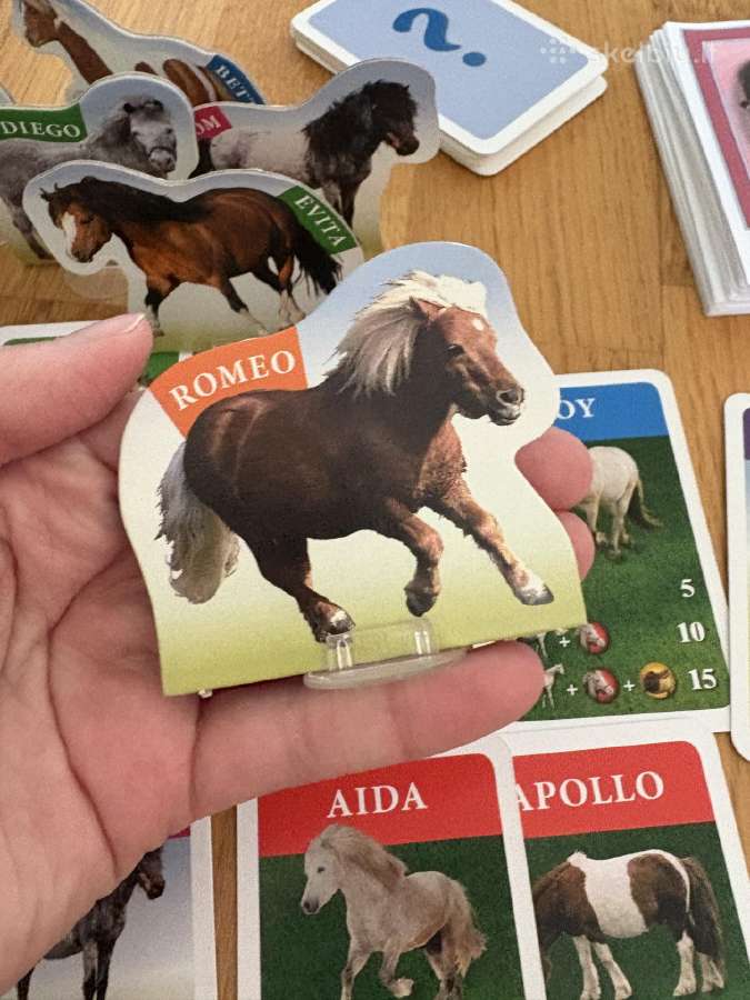 Stalo žaidimas “My pony - nuotraukos Nr. 6