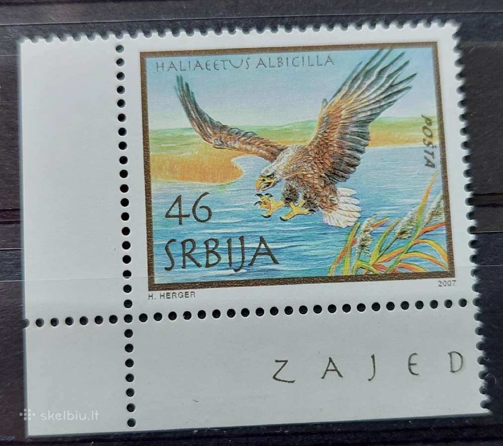 Serbija 2007 paukštis, švarus, Michel 215