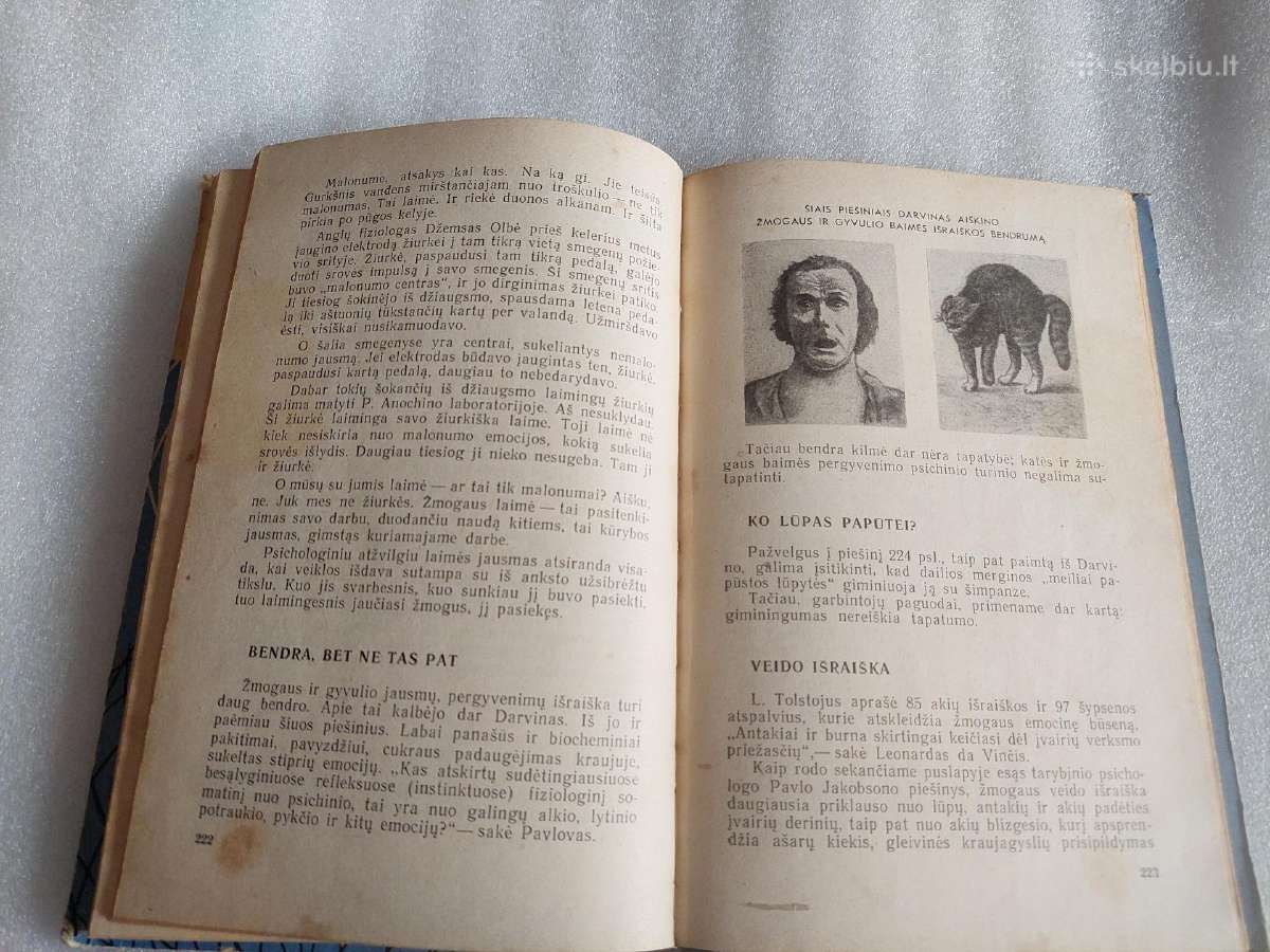 Įdomioji psichologija - nuotraukos Nr. 6