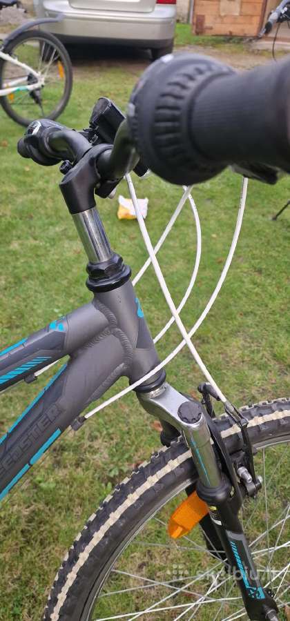 Miesto dviratis Kellysva - nuotraukos Nr. 7