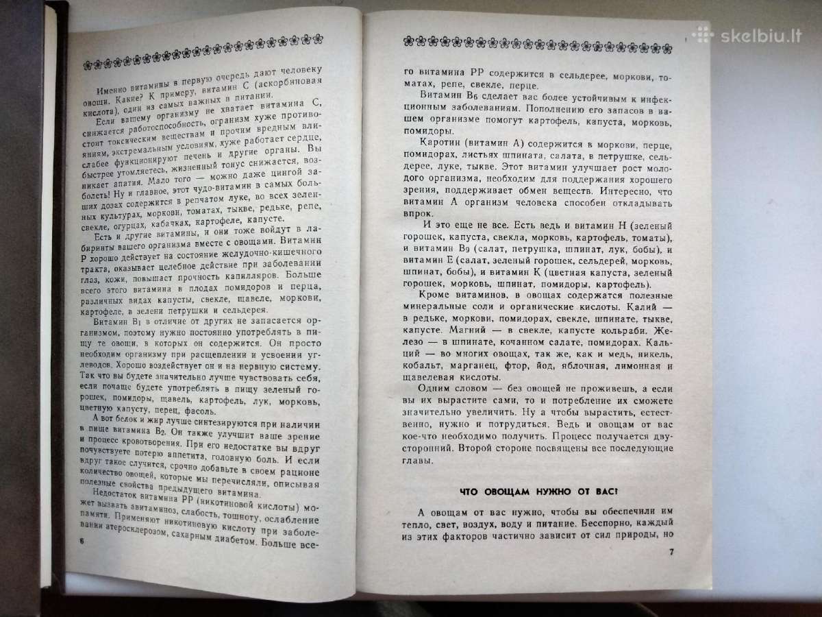 Sode, darže, virtuvėje (rusų k.) - nuotraukos Nr. 4