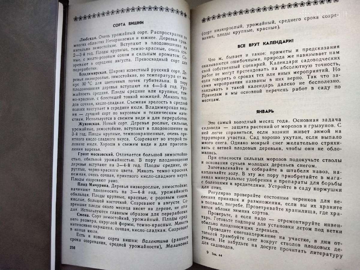 Sode, darže, virtuvėje (rusų k.) - nuotraukos Nr. 9