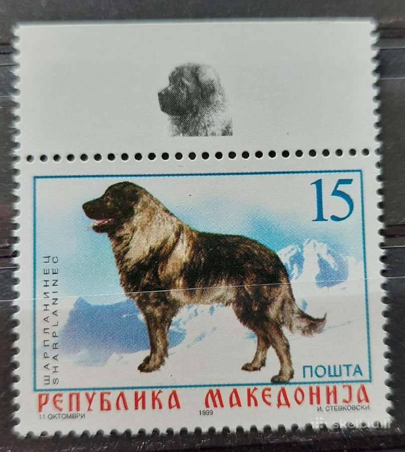Makedonija 1999 šuo, švarus, Michel 150