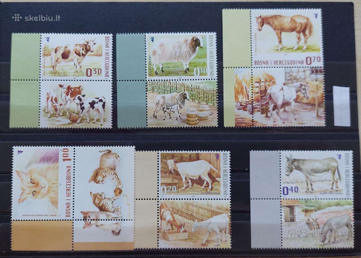Bosnija ir Hercegovina 2007 naminiai gyvūnai, švar