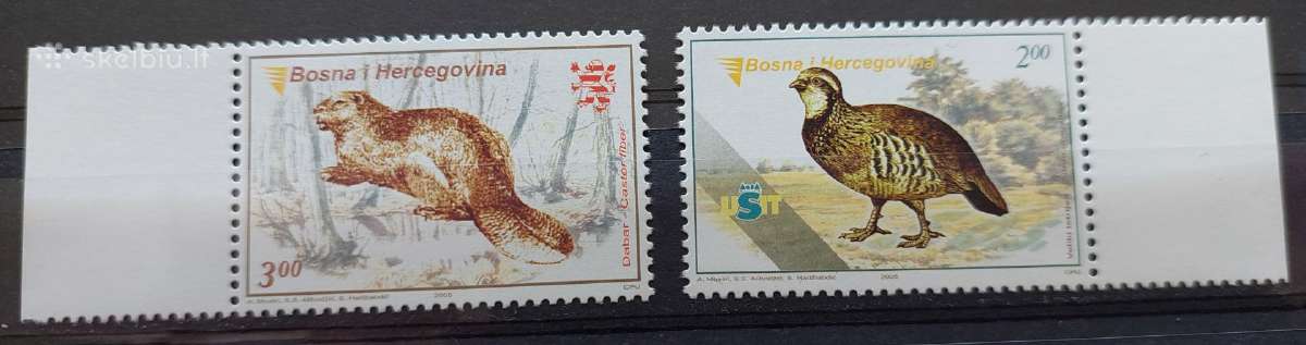 Bosnija ir Hercegovina 2005 fauna švarus, Michel 3
