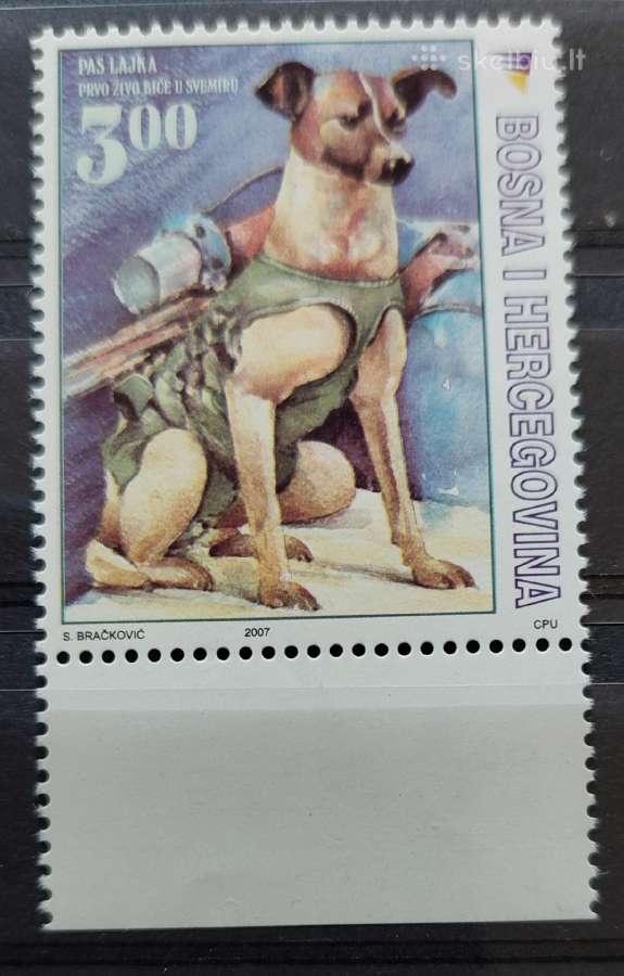 Bosnija ir Hercegovina 2007 šuo, švarus, Michel 50