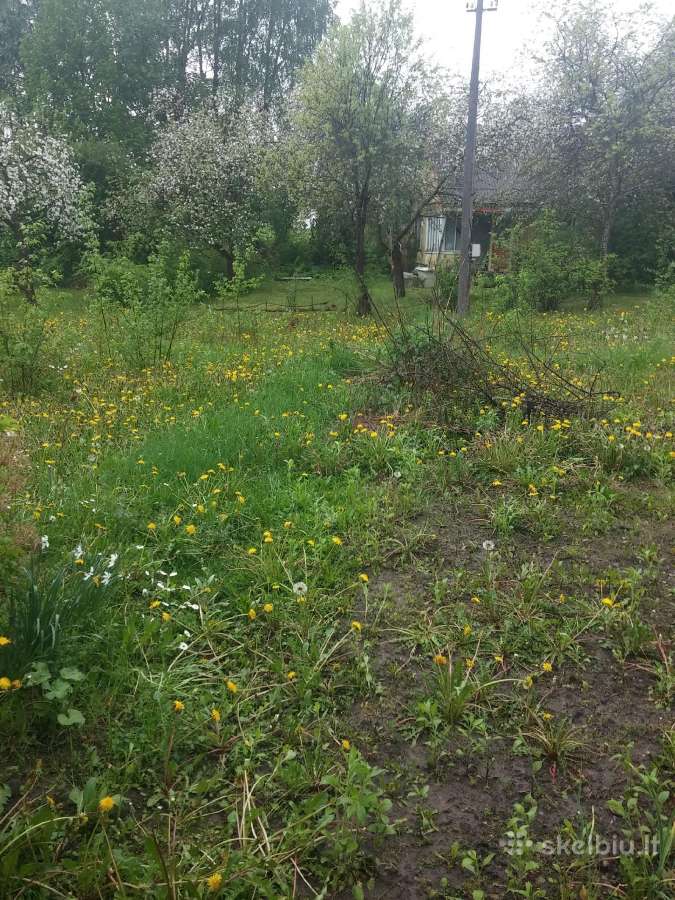 Parduodamas 6 a. sodo sklyp Rastinėnai prie Neries - nuotraukos Nr. 3