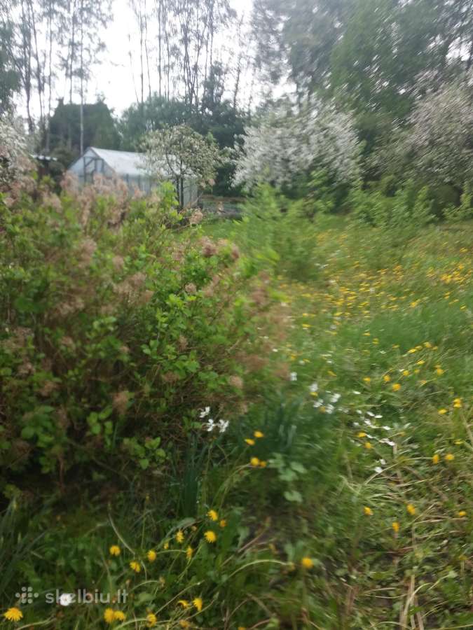 Parduodamas 6 a. sodo sklyp Rastinėnai prie Neries - nuotraukos Nr. 4