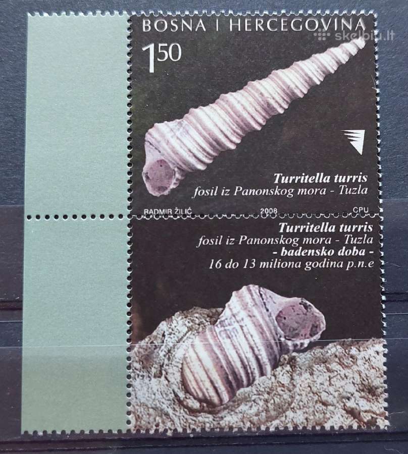 Bosnija ir Hercegovina 2008 kriaukles, švarus, Mic