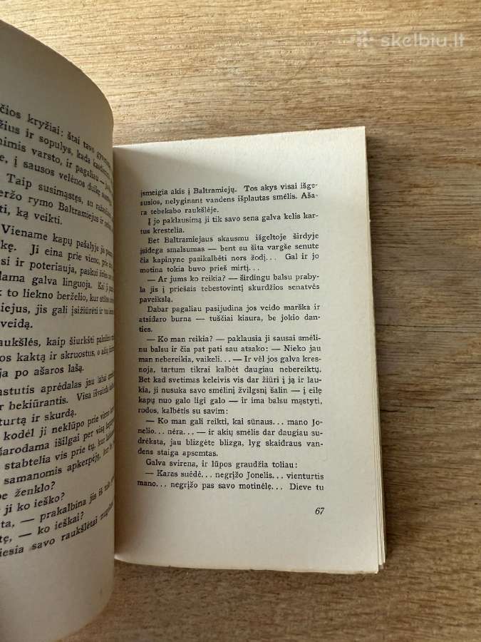 Jurgučio pieva 1938 m. - nuotraukos Nr. 6