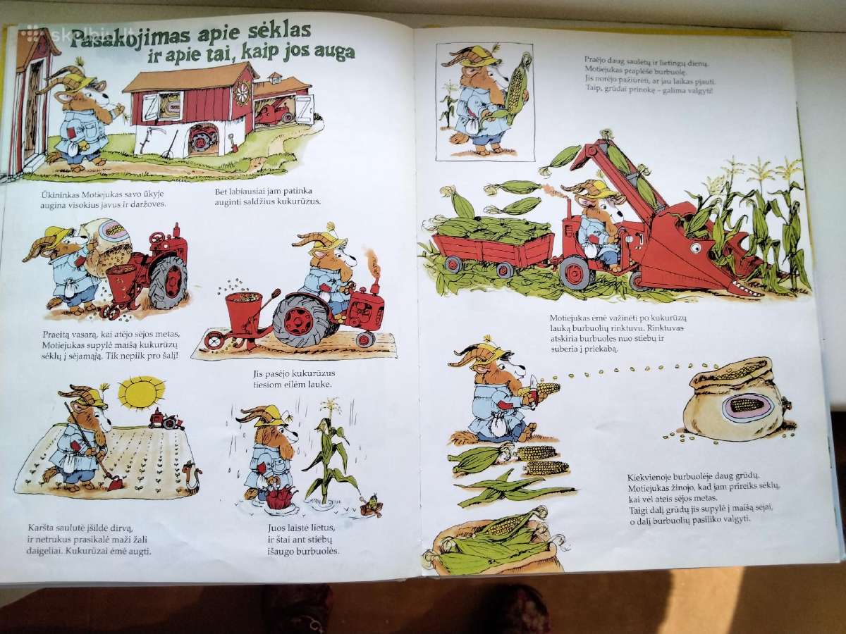 R. Scarry. Ką žmonės dirba visą dieną? - nuotraukos Nr. 7