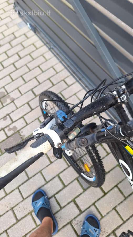 Orbea dviratis - nuotraukos Nr. 2