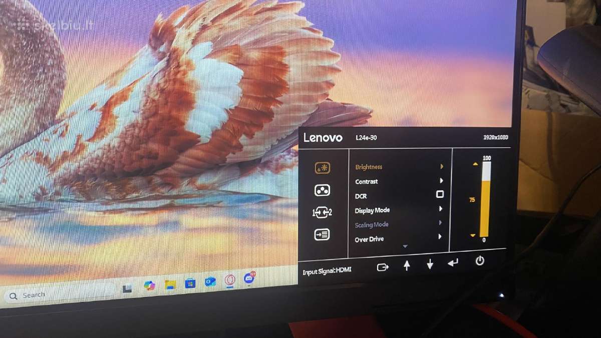 Lenovo l24e-30 - nuotraukos Nr. 2