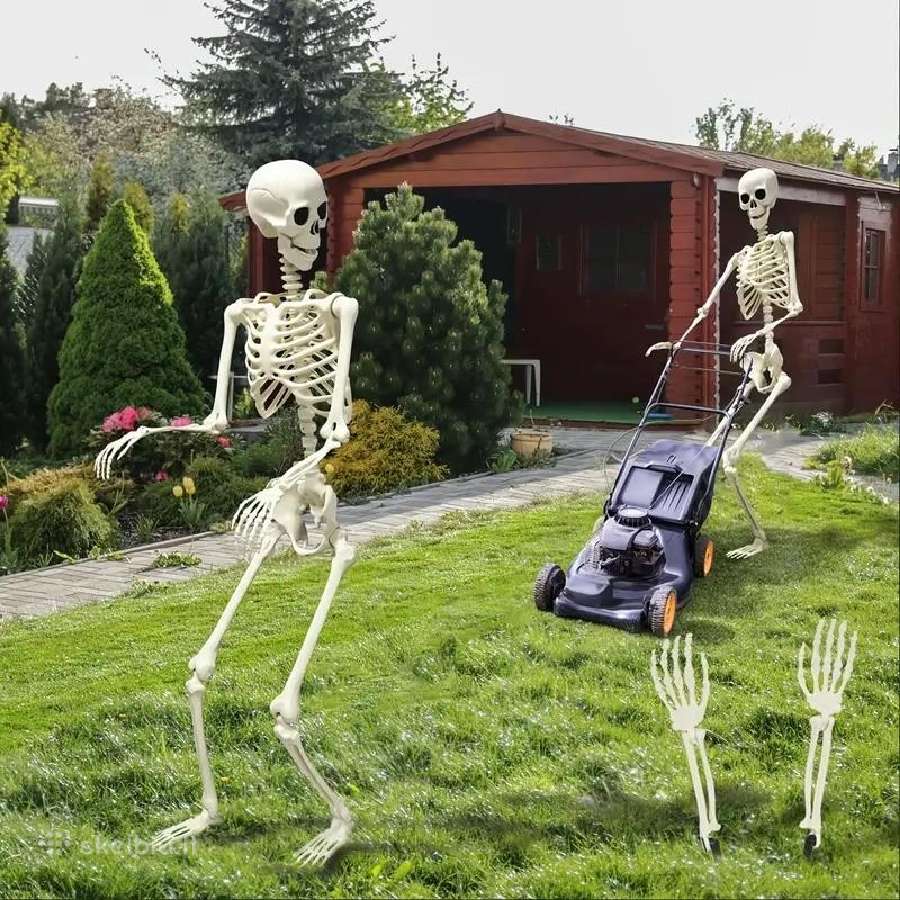 Pvc Realistiški Skeletai, lankstūs sąnariai - nuotraukos Nr. 3
