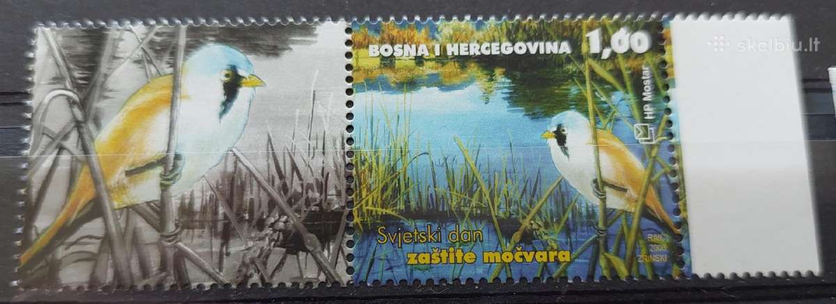 Bosnija ir Hercegovina 2006 paukštis , švarus, Mic