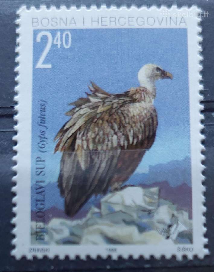 Bosnija ir Hercegovina 1998 paukštis , švarus, Mic