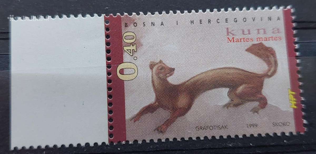 Bosnija ir Hercegovina 1999 kiaune , švarus, Miche
