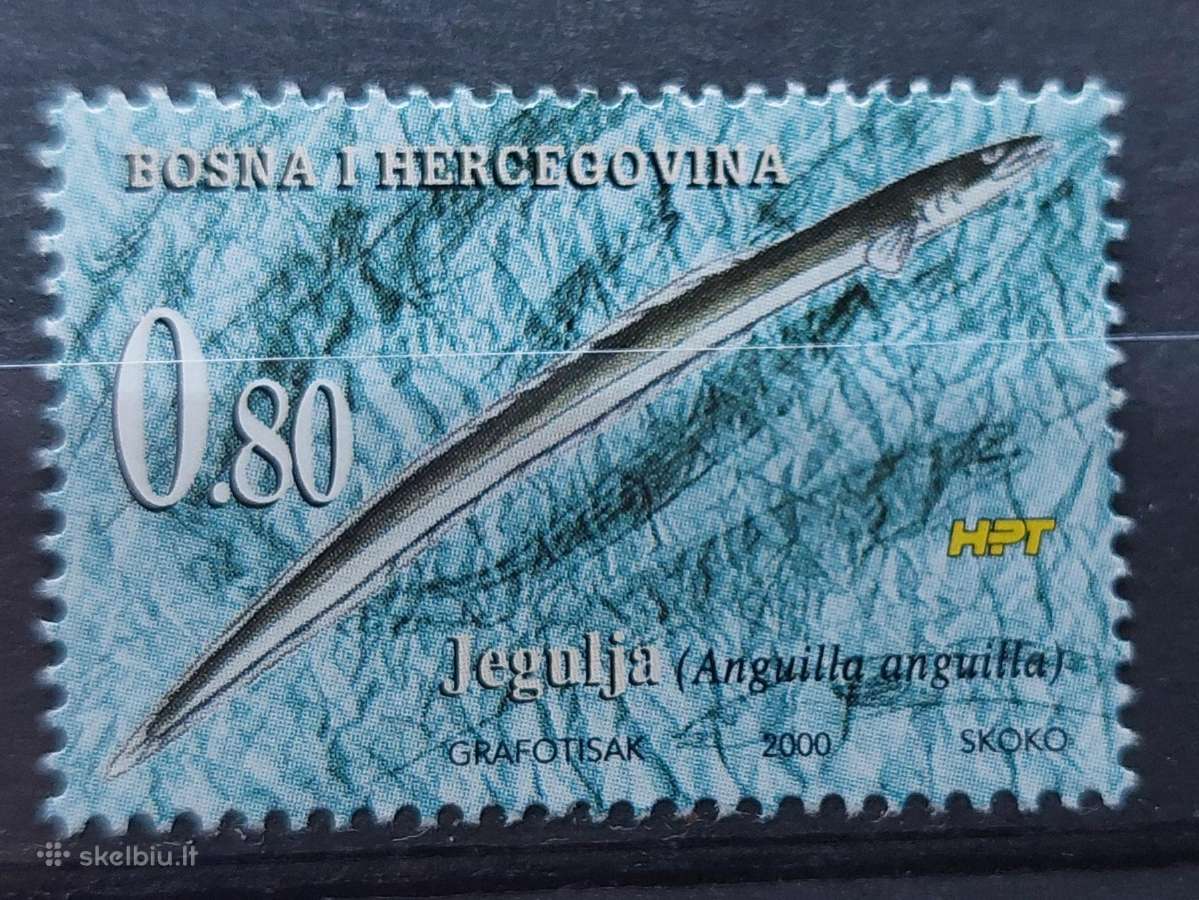 Bosnija ir Hercegovina 2000 žuvys , švarus, Michel