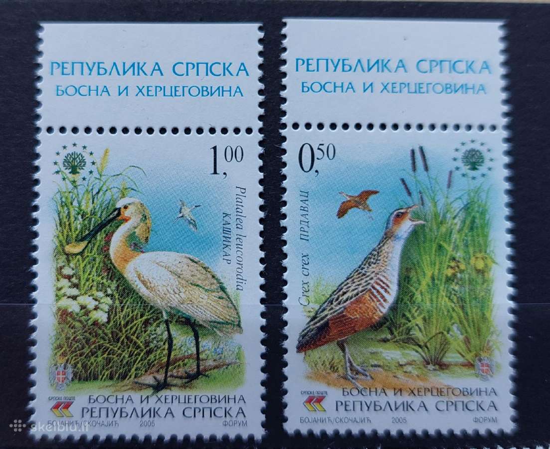 Bosnija ir Hercegovina 2005 paukščiai, švarus,mich