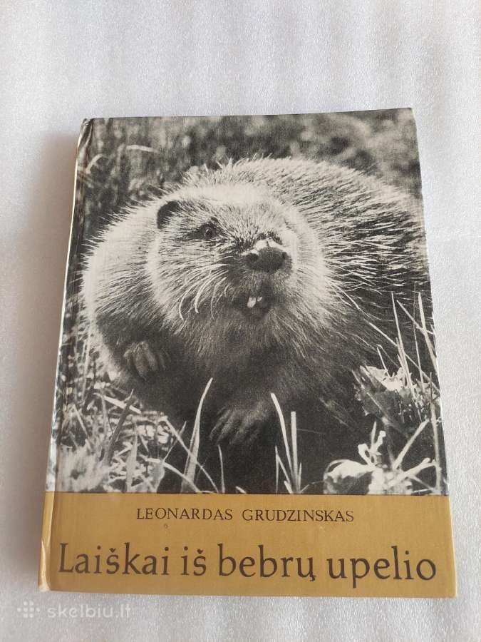 Laiškai iš bebrų upelio