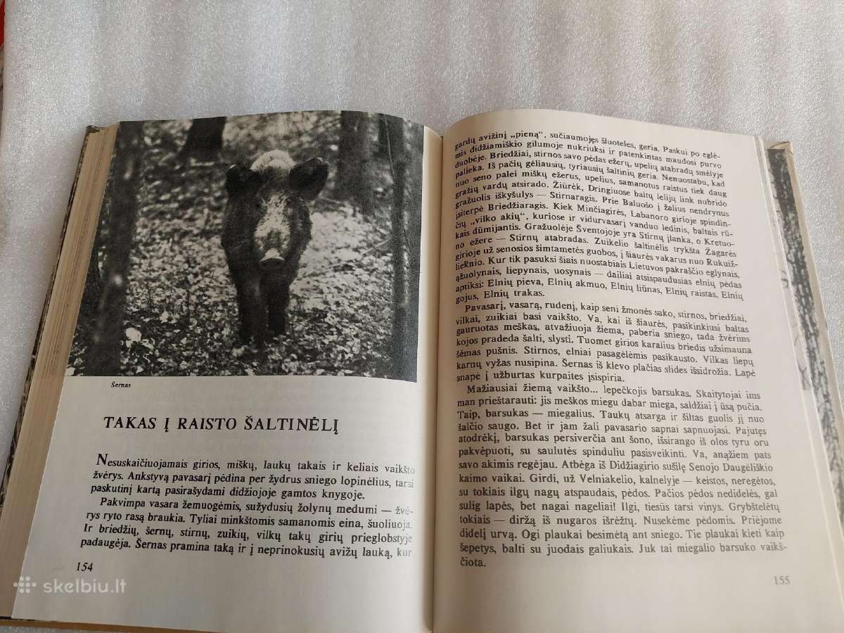 Laiškai iš bebrų upelio - nuotraukos Nr. 5
