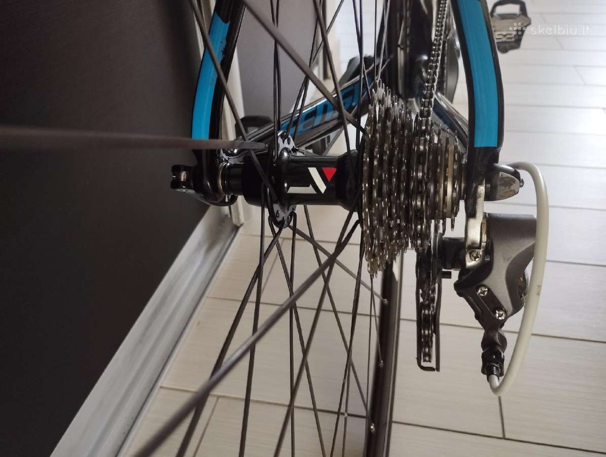 Full Carbon 55cm. Plento Sensa Lombardia Ultegra - nuotraukos Nr. 14