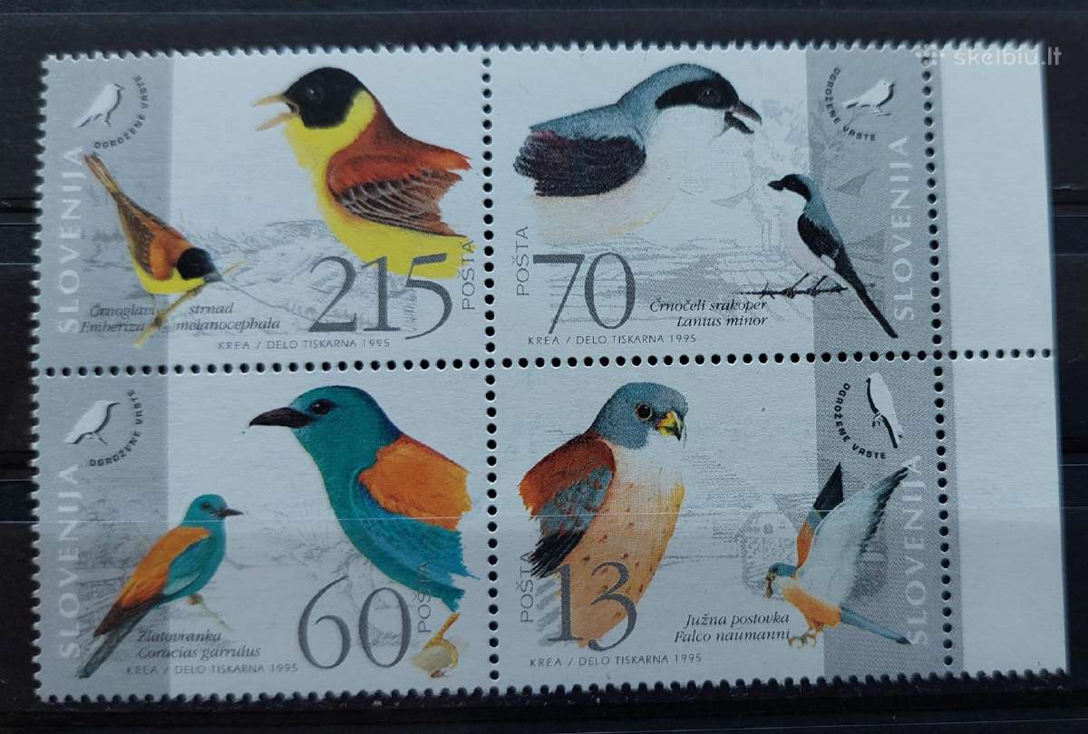 Slovėnija 1995 paukščiai, švarus,michel 113
