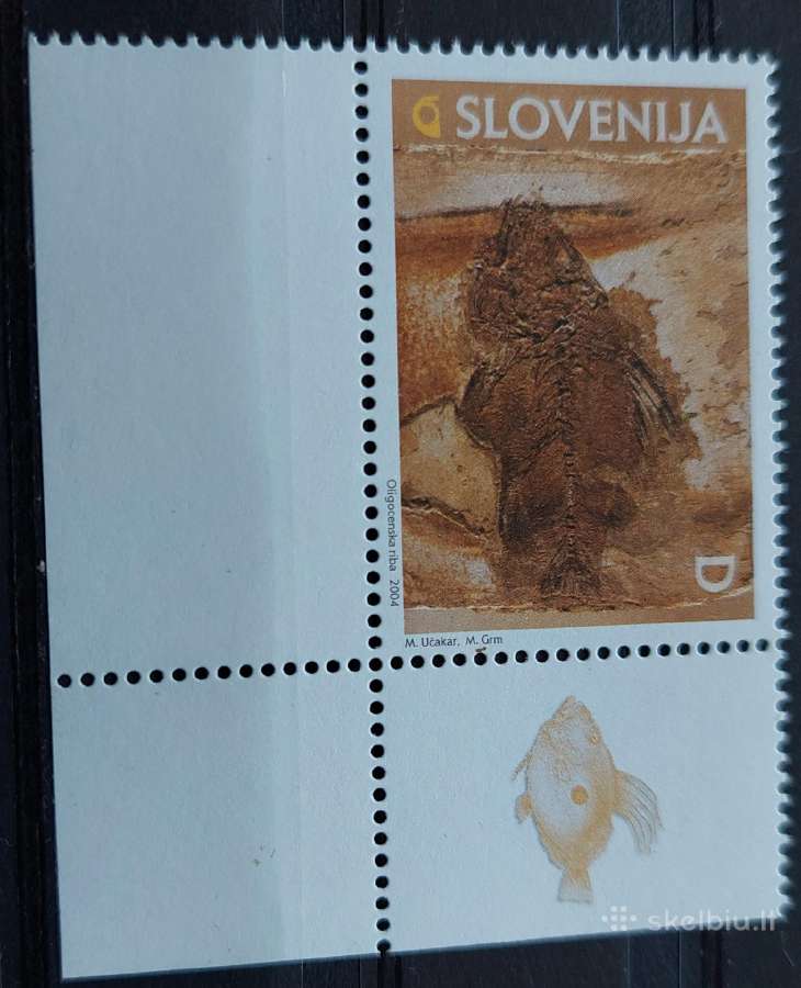Slovėnija 2006, svarus Michel 466
