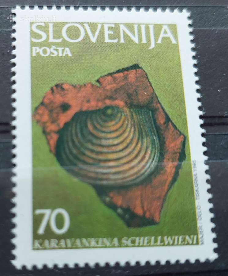 Slovėnija 1995 kriaukle, svarus Michel 108