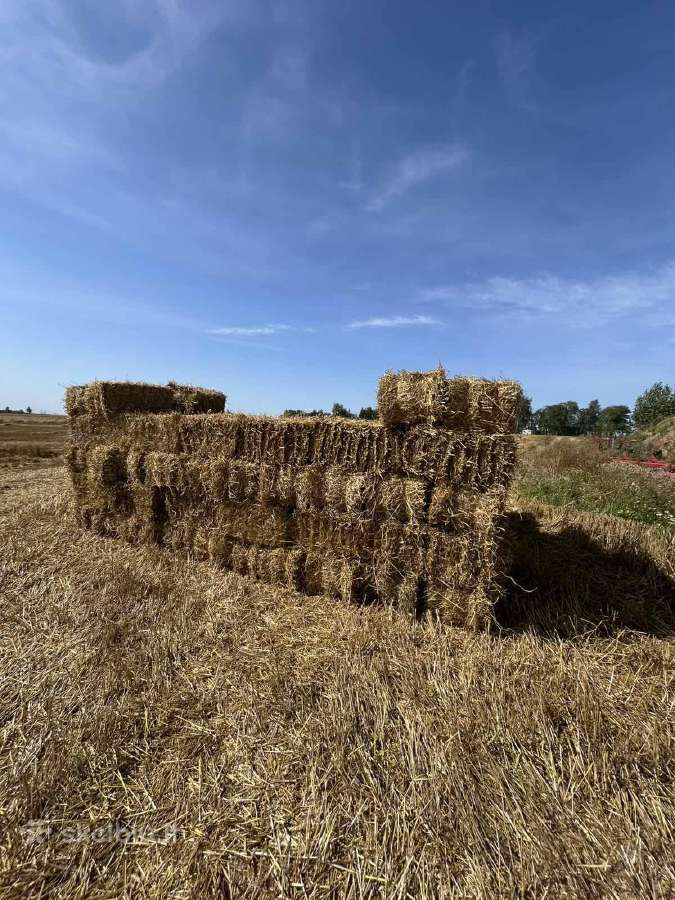 Šiaudai kitkomis kvietiniai