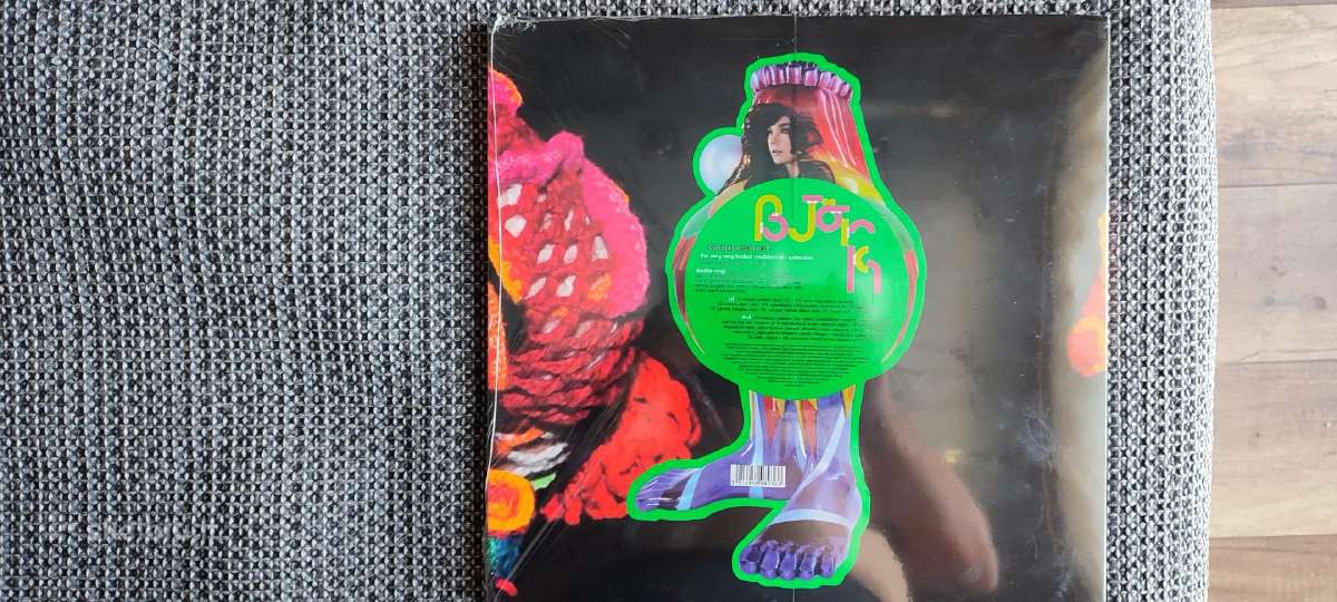 Bjork - nuotraukos Nr. 2