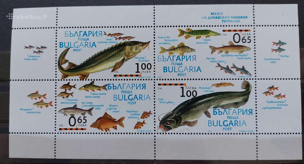 Bulgarija 2011 žuvis, švarus, Michel block 344