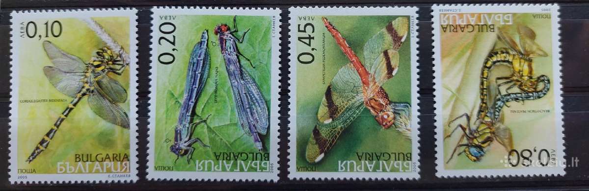 Bulgarija 2005 laumžirgiai, švarus, Michel 4708-47
