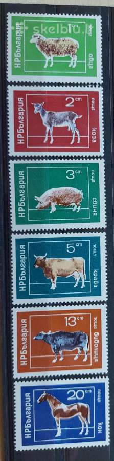 Bulgarija 1974 naminiai gyvūnai , švarus, Michel 2